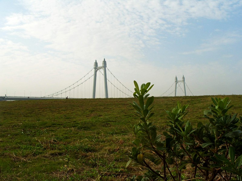 conew_s1053739.jpg