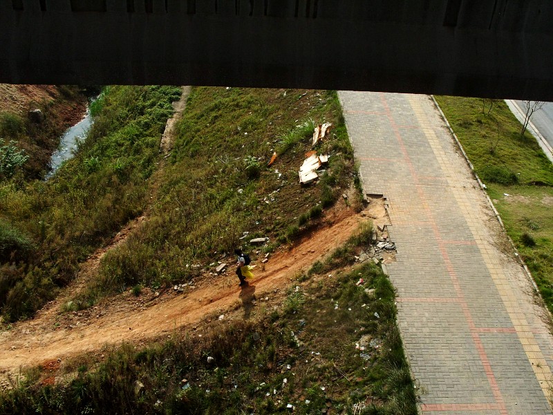 conew_s1053740.jpg