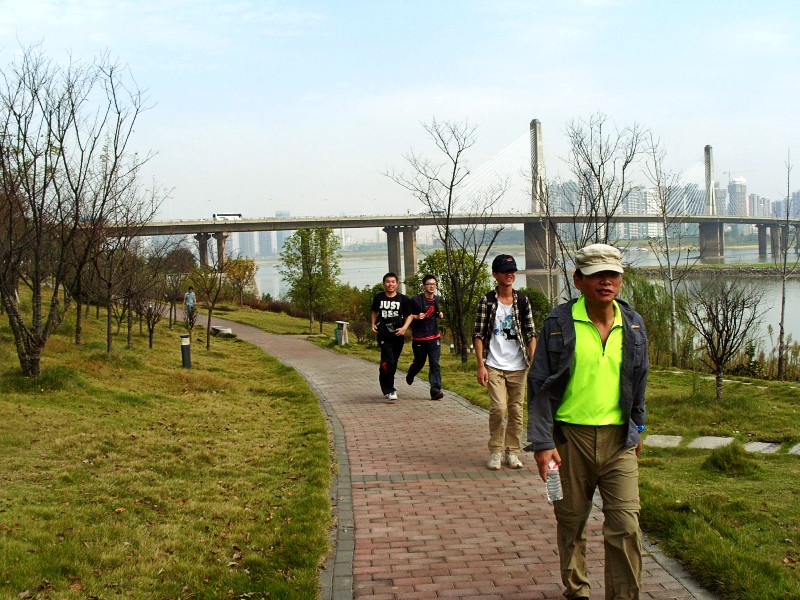 conew_s1053744.jpg