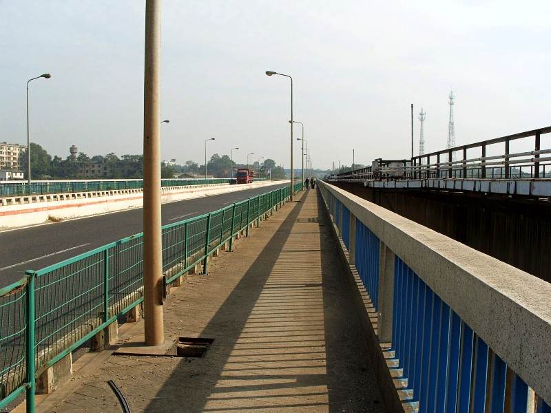conew_s1053741.jpg