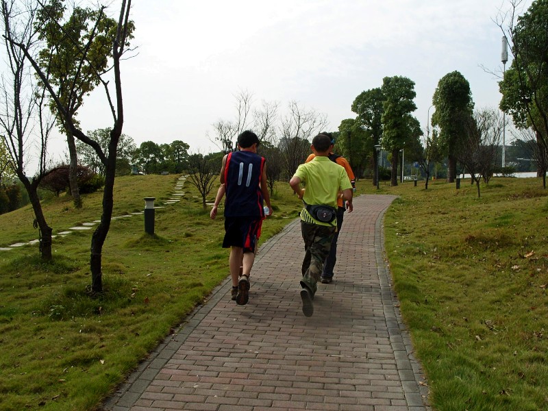 conew_s1053743.jpg