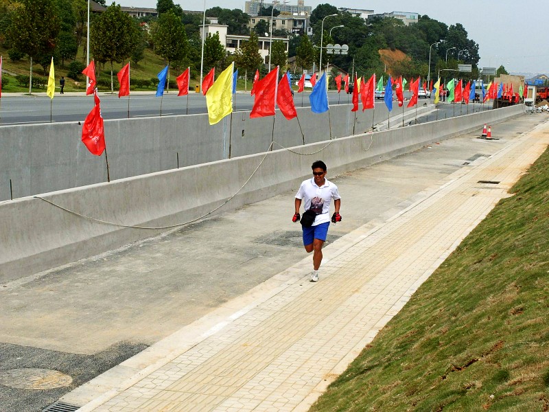 conew_s1053747.jpg