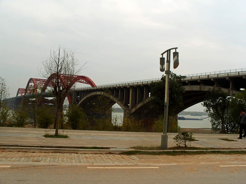 conew_s1053779.jpg