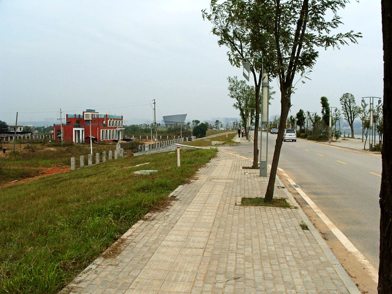 conew_s1053781.jpg