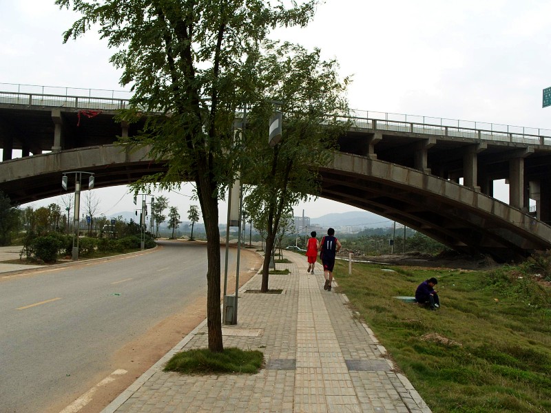 conew_s1053782.jpg