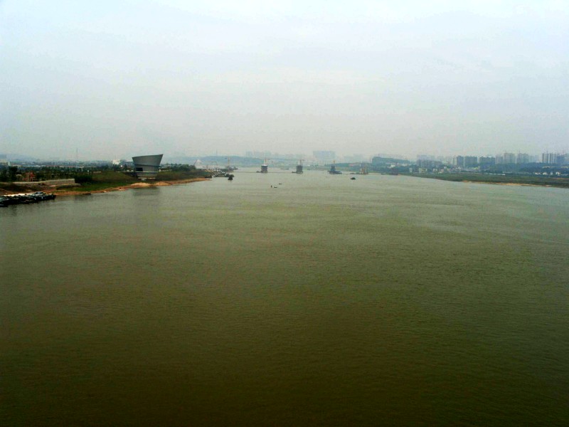 conew_s1053783.jpg