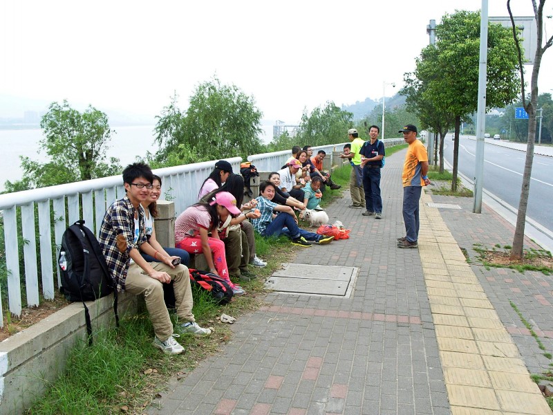 conew_s1053788.jpg