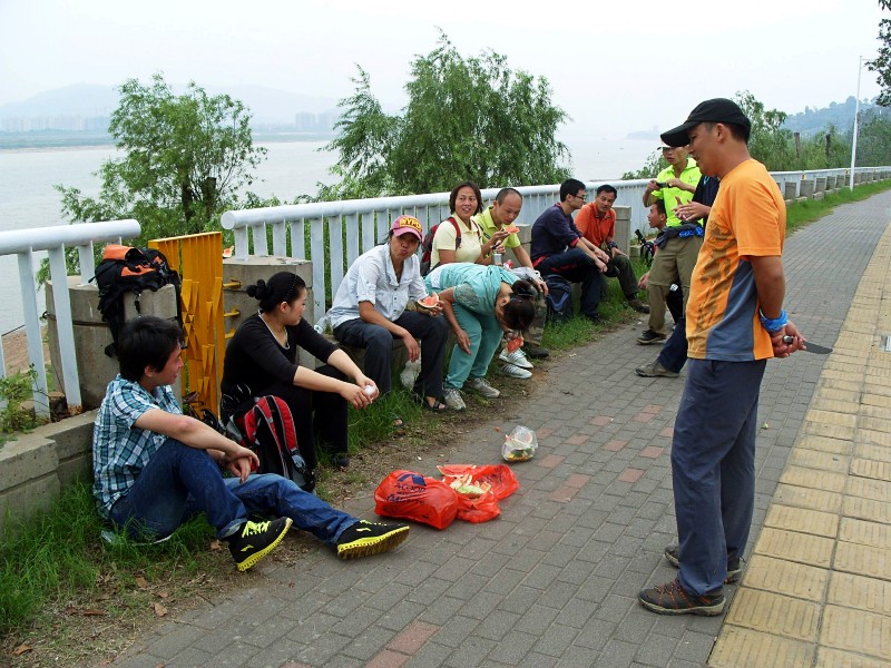 conew_s1053789.jpg