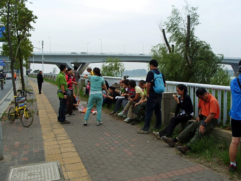 conew_s1053794.jpg