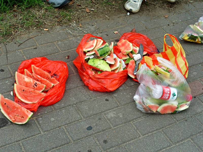 conew_s1053800.jpg