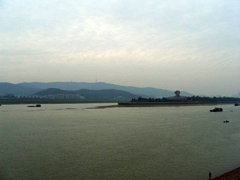 conew_s1053809.jpg