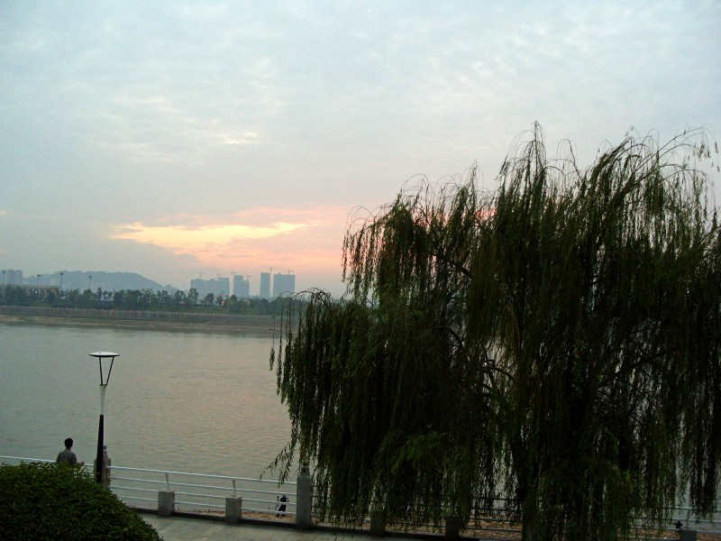 conew_s1053817.jpg