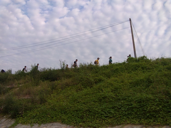 DVCI2355.jpg