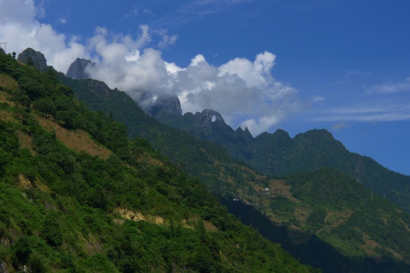 conew_p1010558.jpg