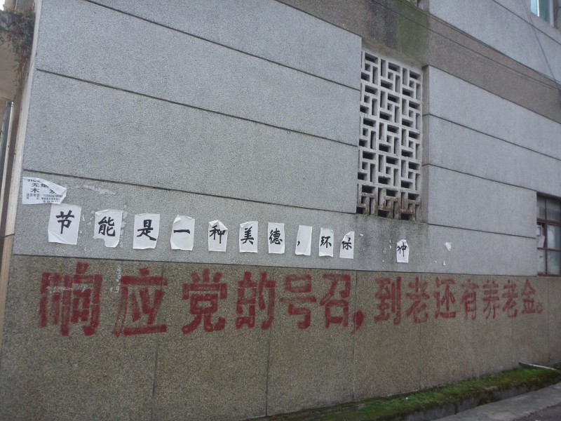 conew_p1090765.jpg