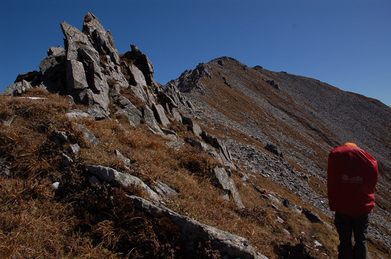 DSC_0356.jpg