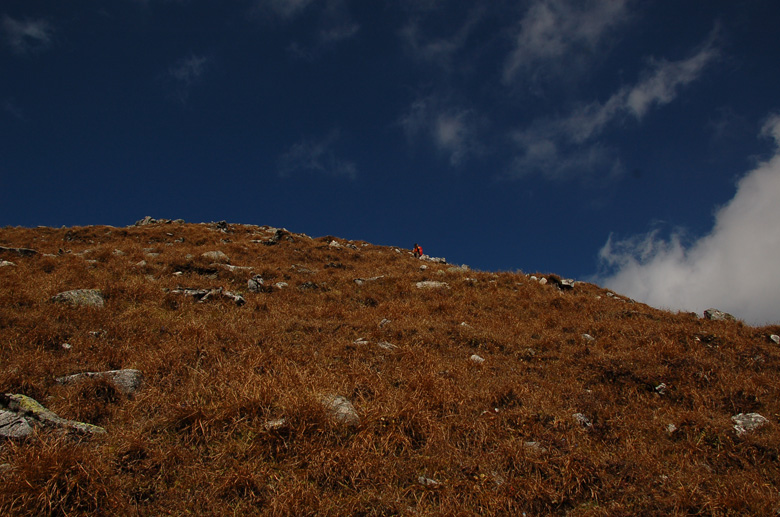 DSC_0369.jpg