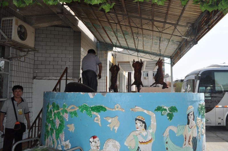 ��11.jpg