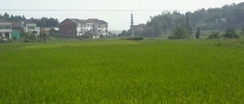 ��Ƭ2695_001.jpg