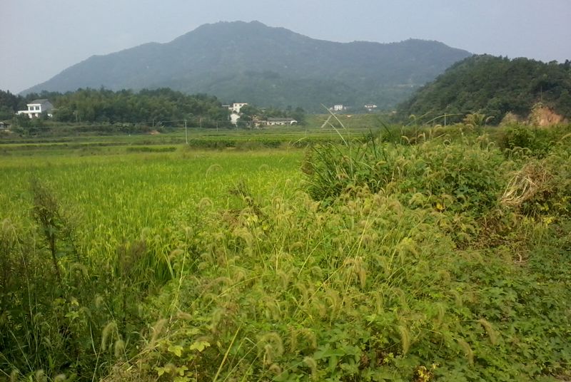 ��Ƭ2696_001.jpg