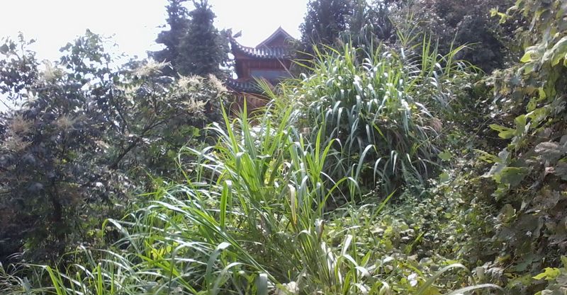 ��Ƭ2717_001.jpg