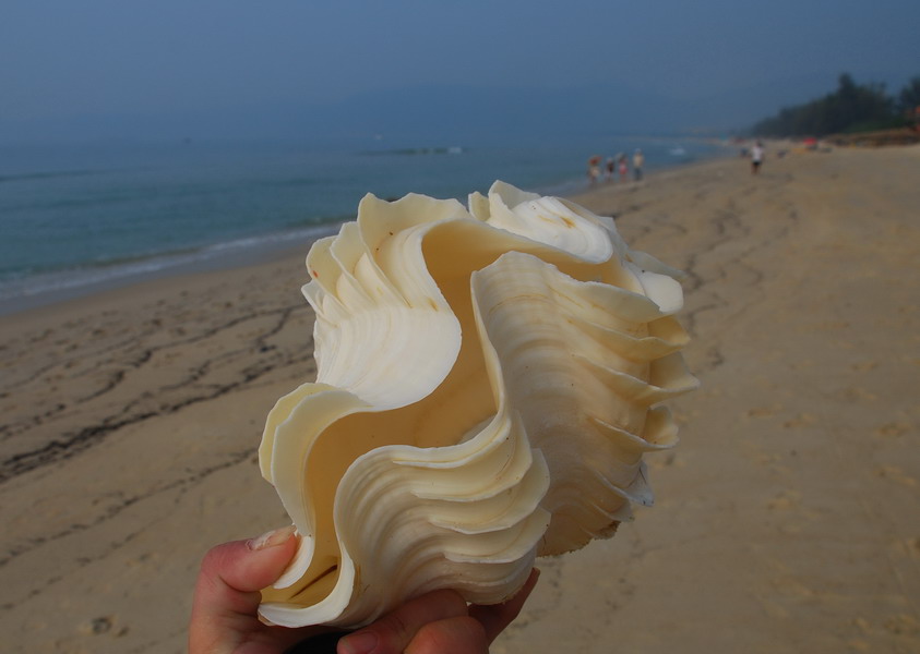 DSC_0043_��С��С.JPG