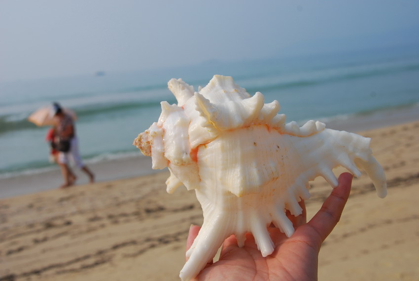 DSC_0048_��С��С.JPG