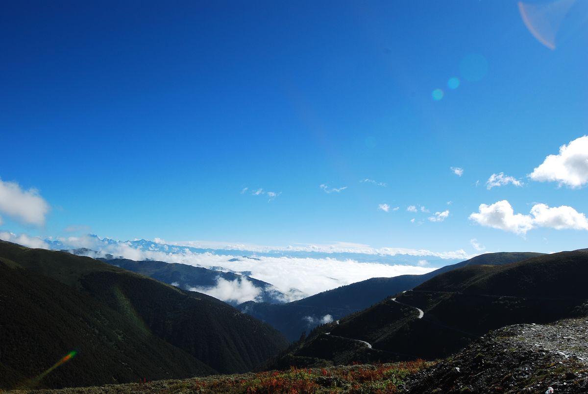 DSC_0661.jpg