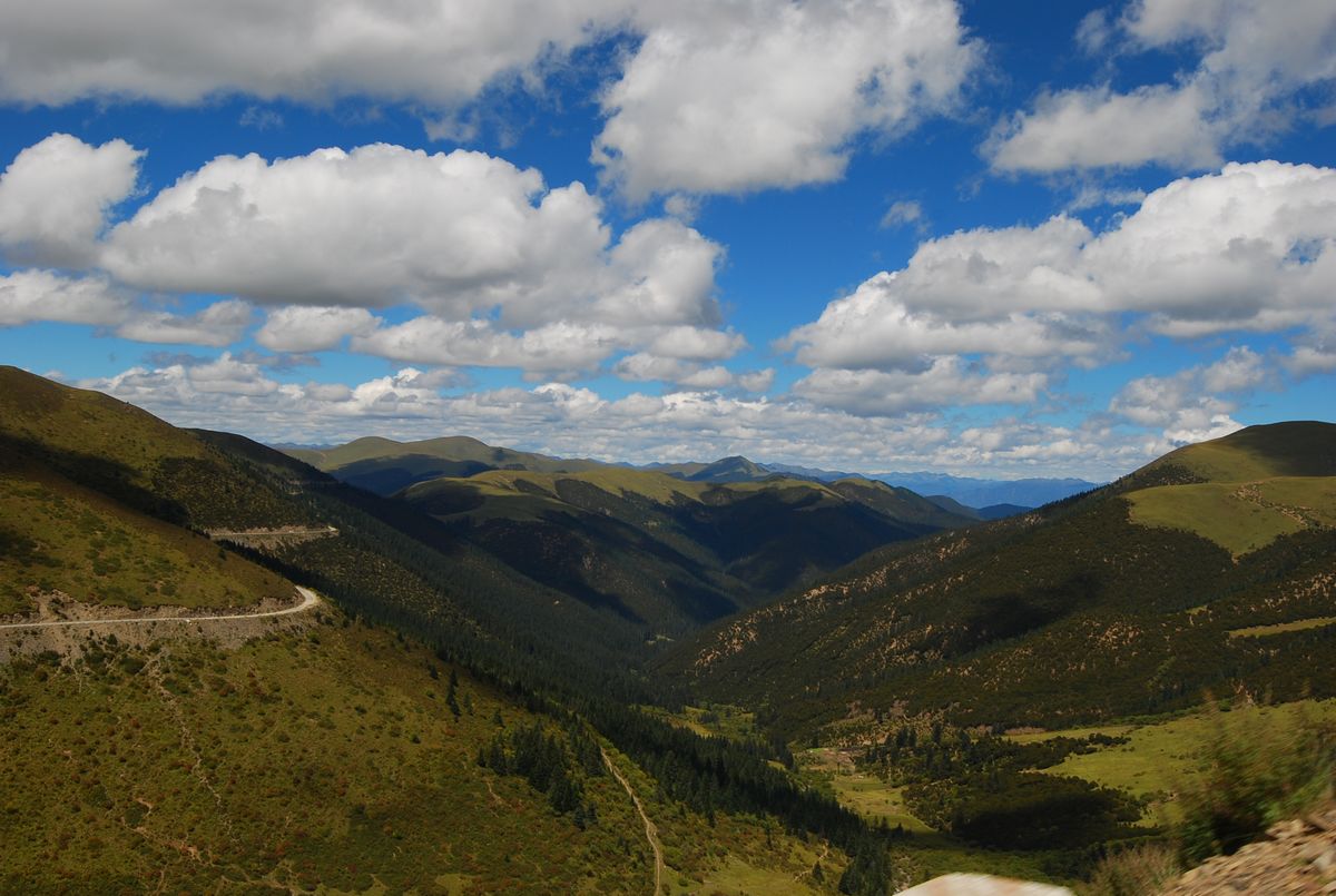DSC_0804.jpg