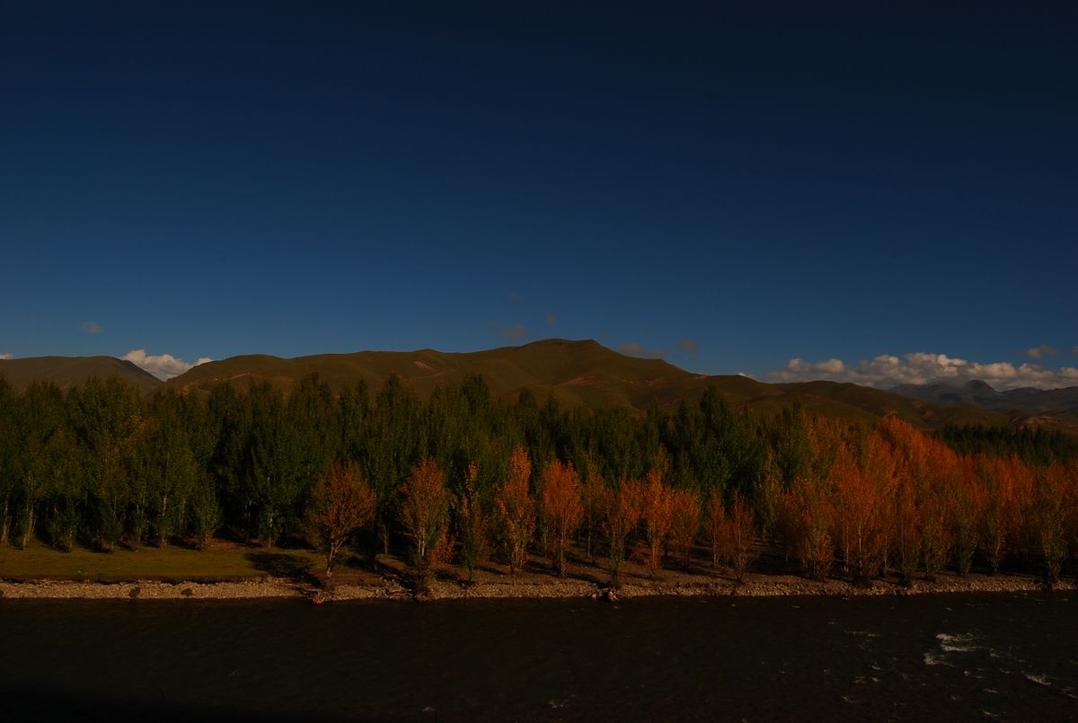 DSC_0960.jpg