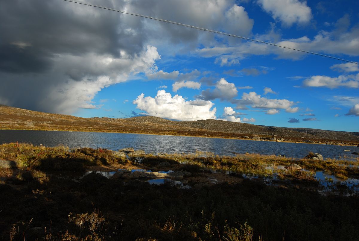 DSC_0908.jpg