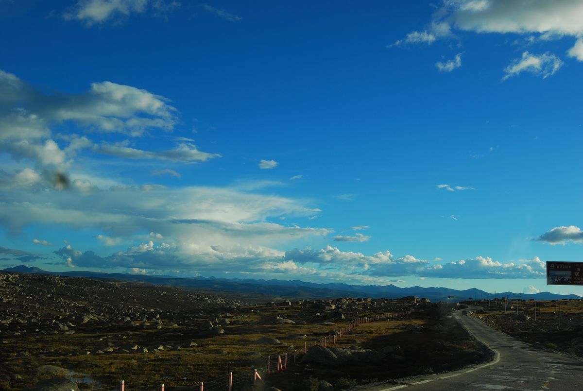DSC_0916.jpg