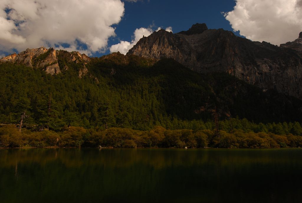 DSC_0117.jpg