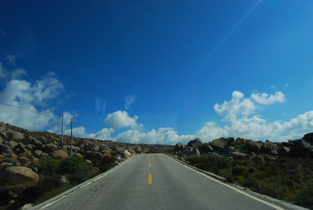 DSC_0354.jpg