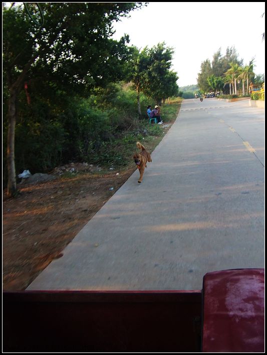 DSCF6618.JPG