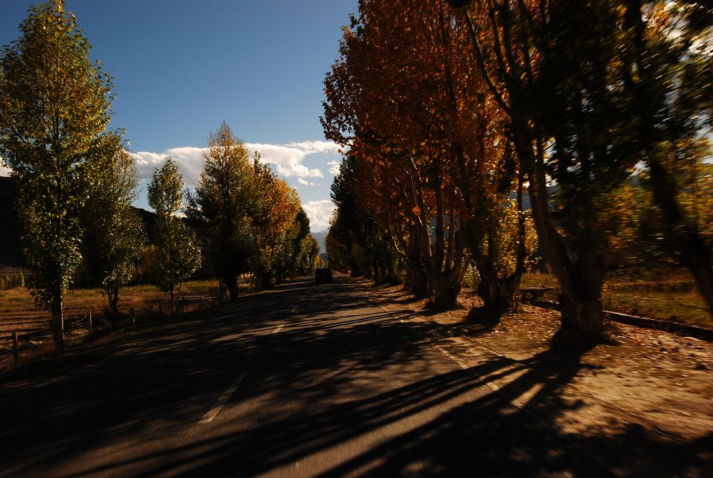 DSC_0493.jpg