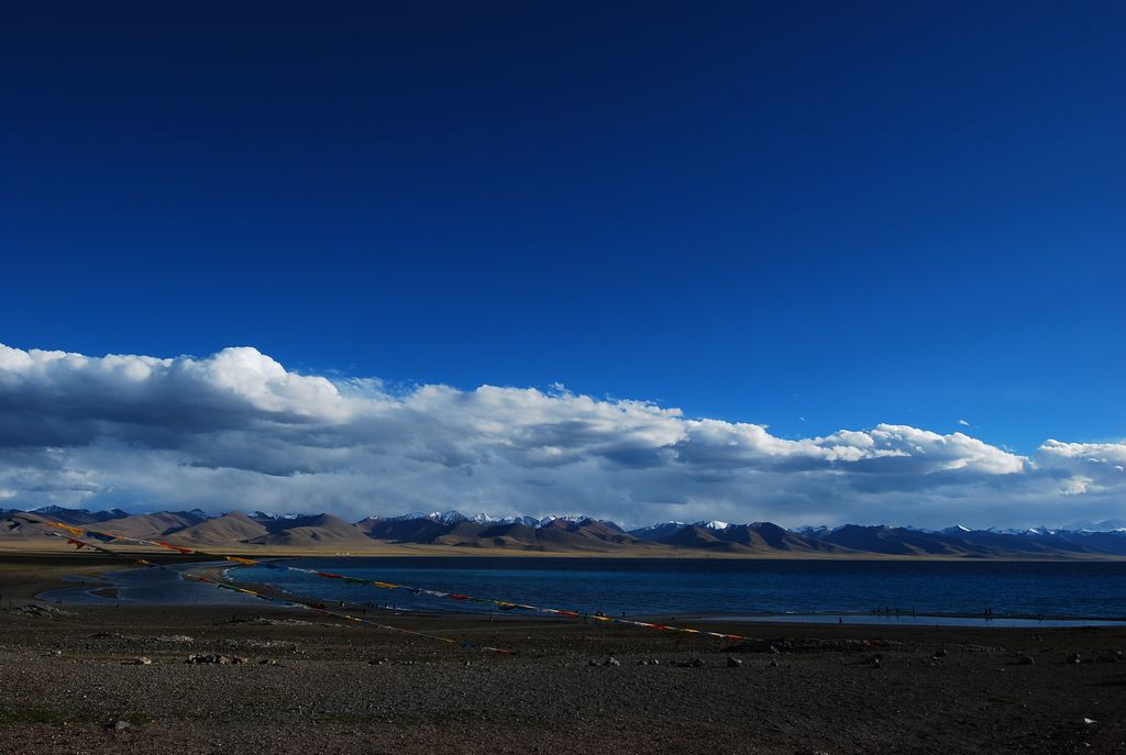 DSC_0755.jpg