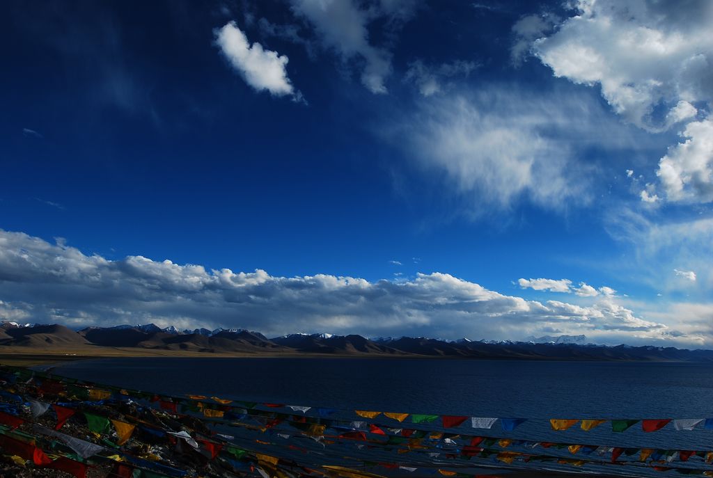DSC_0779.jpg