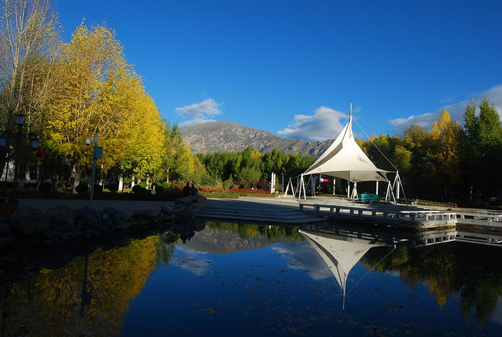 DSC_0014.jpg