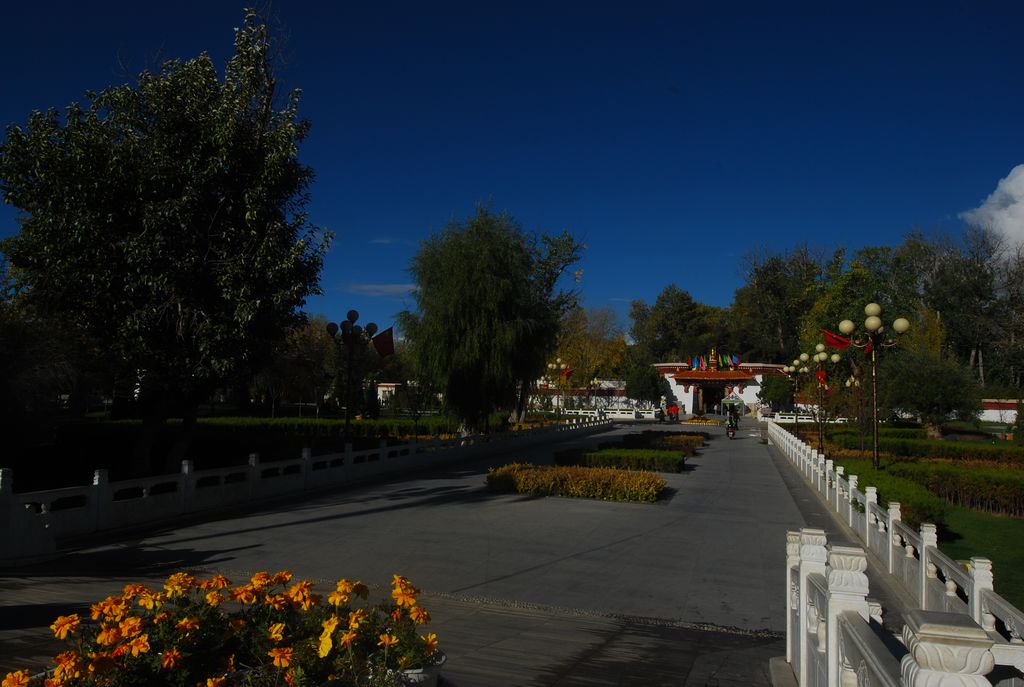 DSC_0464.jpg