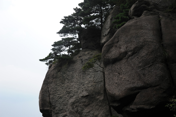 DSC_1188.JPG