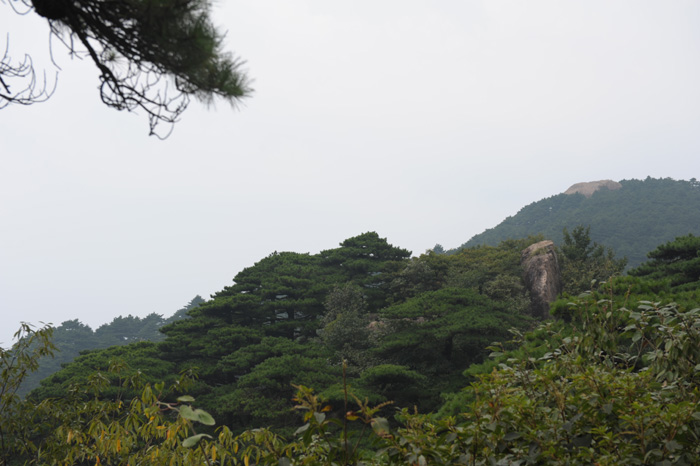 DSC_1192.JPG