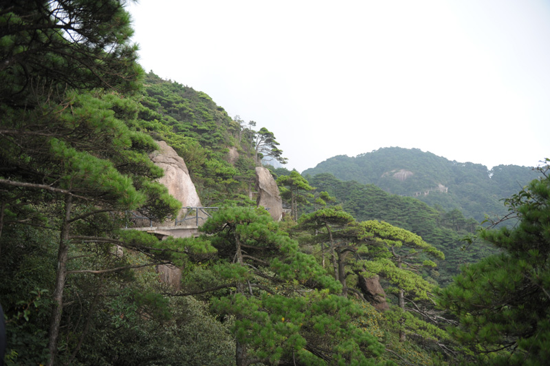 DSC_1234.JPG