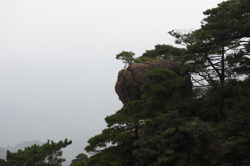DSC_1201.JPG