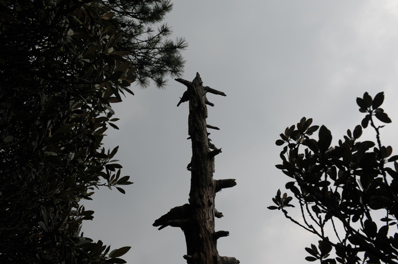 DSC_1204.JPG