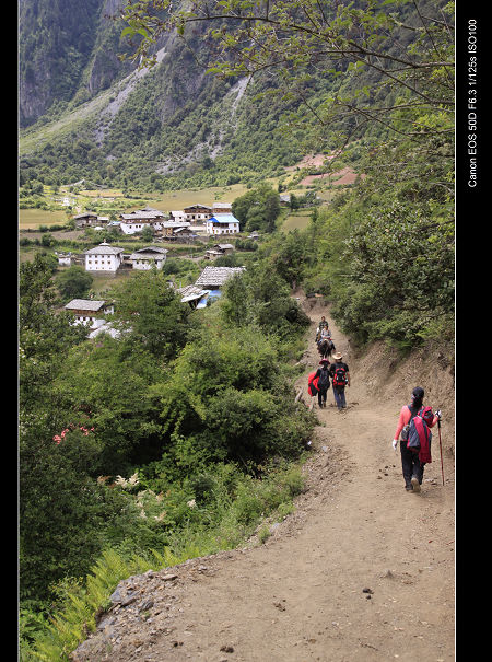 _MG_1427.jpg