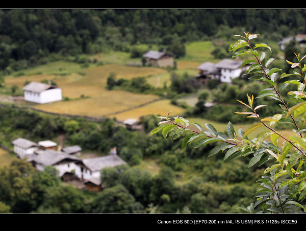 _MG_1500.jpg