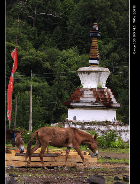 _MG_1600.jpg