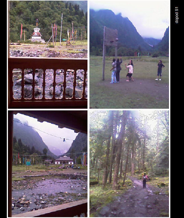 IMAG0242.jpg