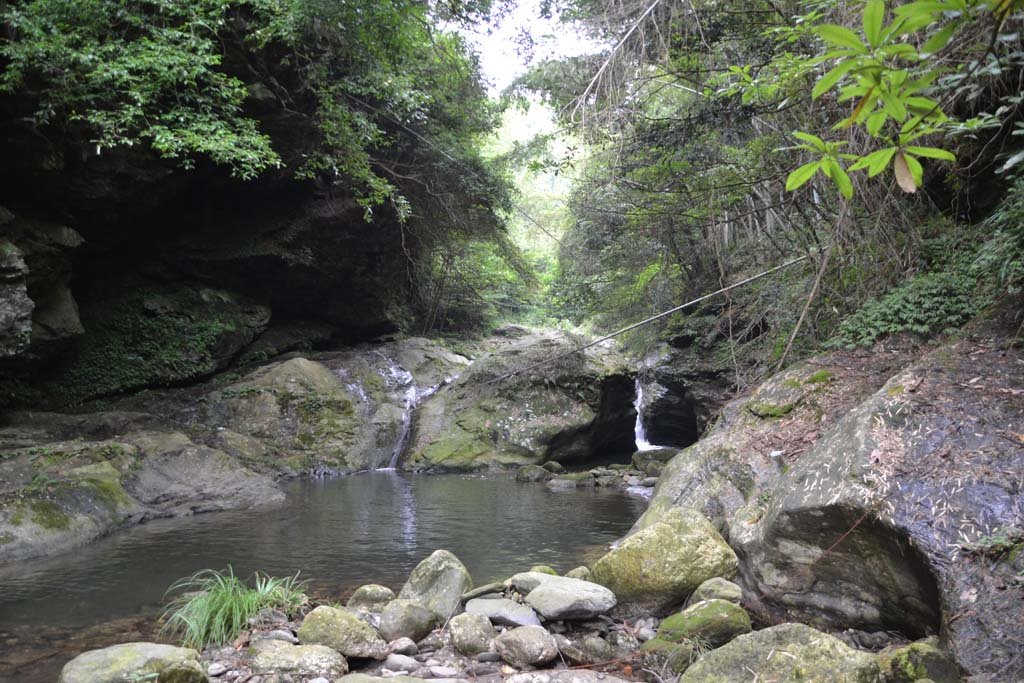 DSC_0444.jpg